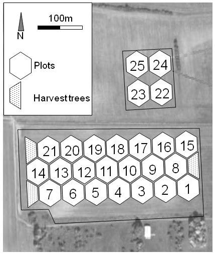 BIOTREE-FD plots in Bechstedt