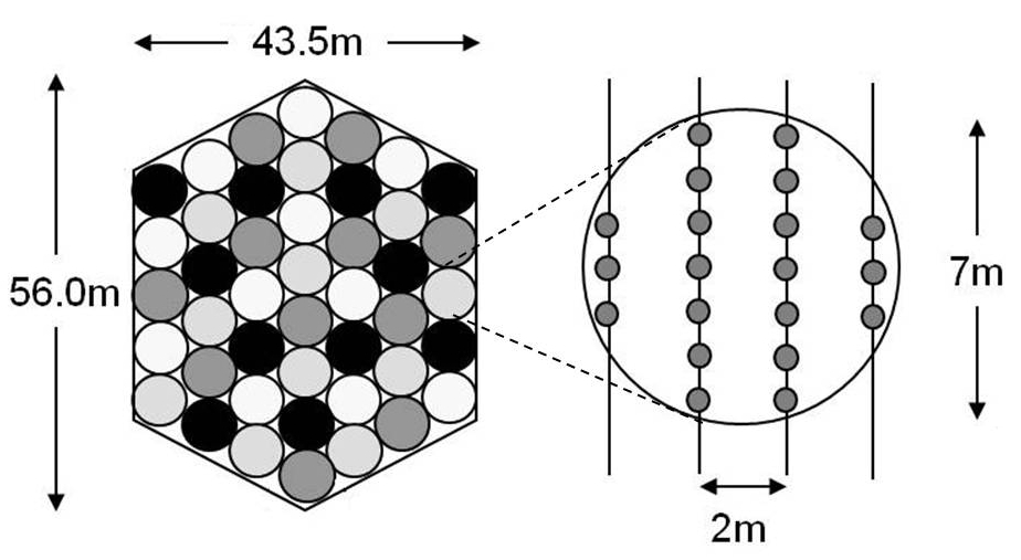 BIOTREE-FD plot design