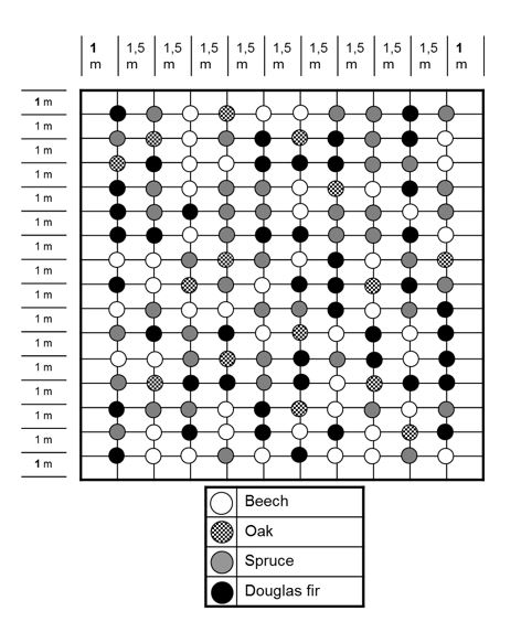 BIOTREE-SIMPLEX plot design