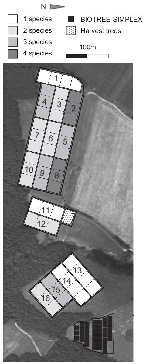 BIOTREE-SPECIES plots in Kaltenborn