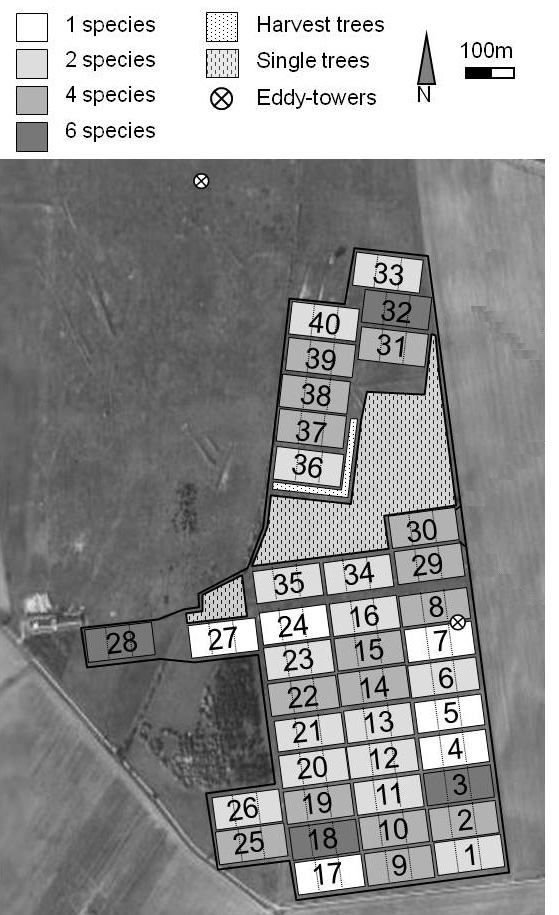 BIOTREE-SPECIES plots in Mehrstedt