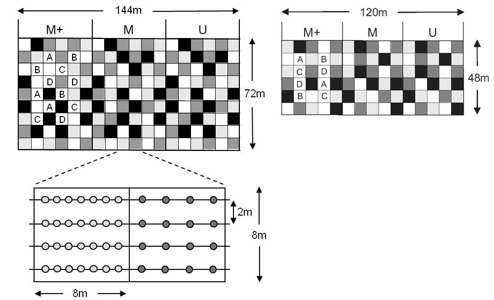 BIOTREE-SPECIES plot design