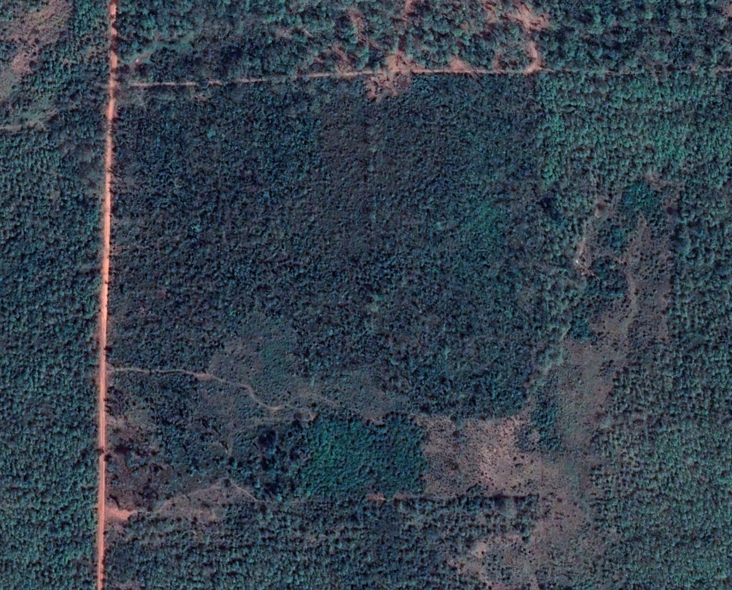 aerial view location plantation