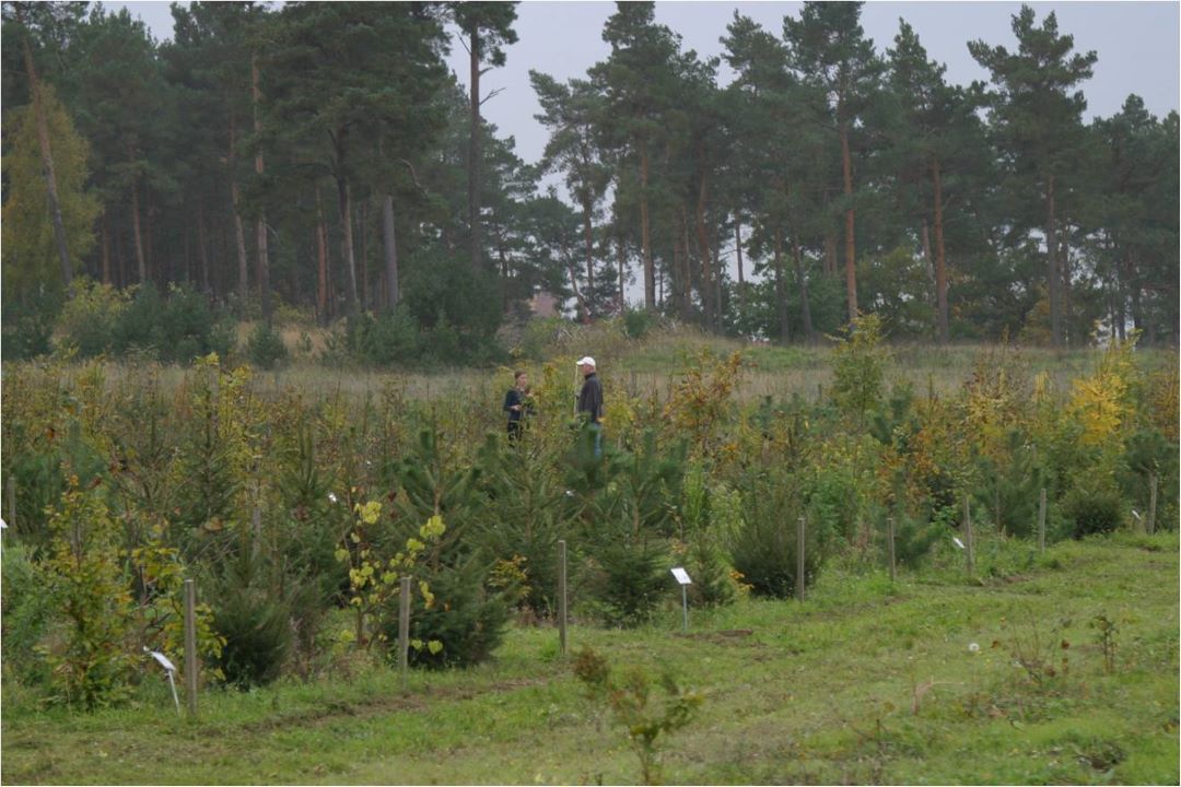 site in fall 2008