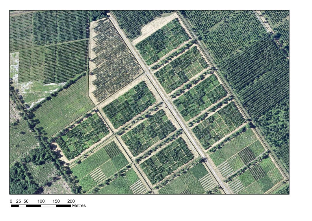 aerial photo of the ORPEE site 2012