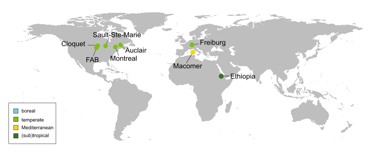 map with the seven sites of IDENT